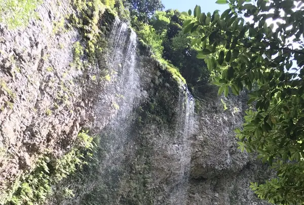 壇鏡の滝の写真・動画_image_265614