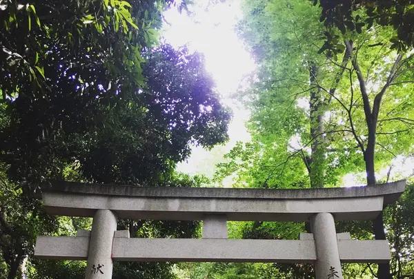 代々木八幡宮の写真・動画_image_266232