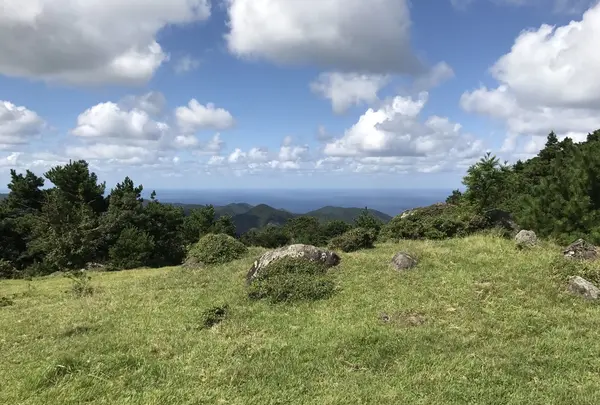隠岐の島町沿岸の写真・動画_image_266468