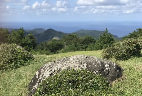 隠岐の島町沿岸の写真・動画_image_266469