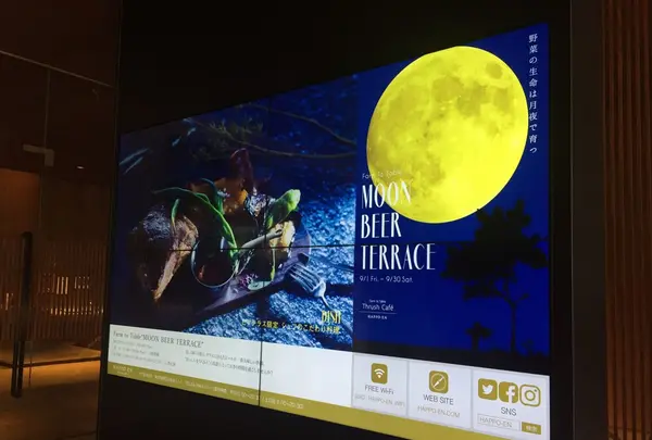 Thrush Cafeの写真・動画_image_266603