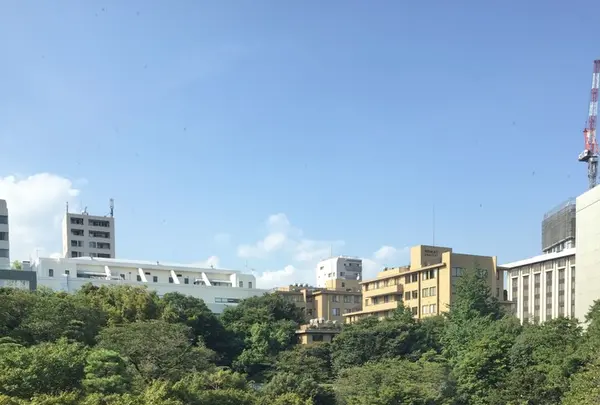 Thrush Cafeの写真・動画_image_266605