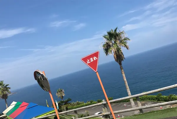 福岡市の写真・動画_image_266988