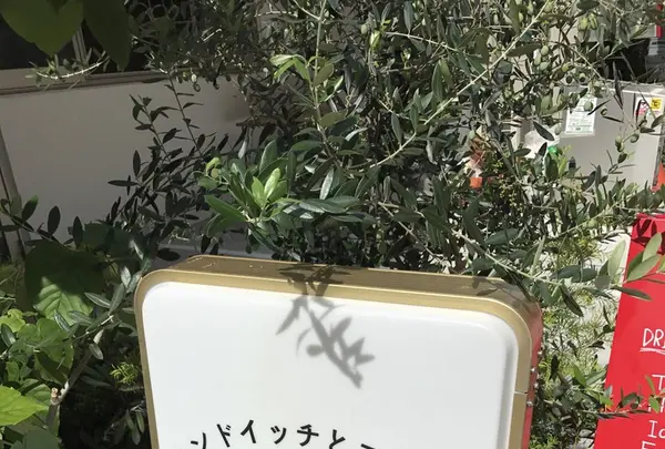 ampereの写真・動画_image_266997