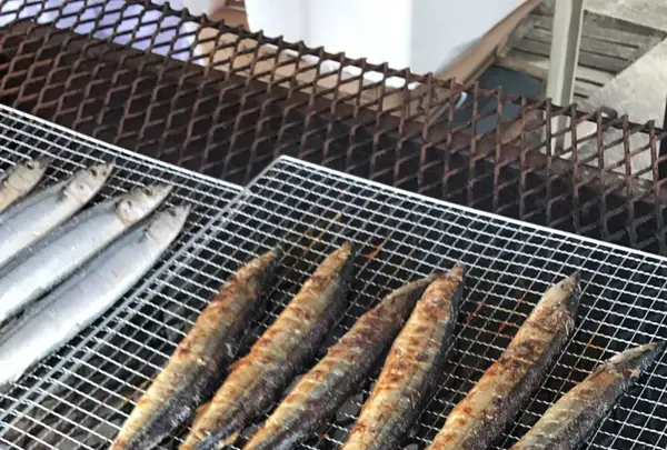 【閉業】ポピーの里 館山ファミリーパークの写真・動画_image_267029