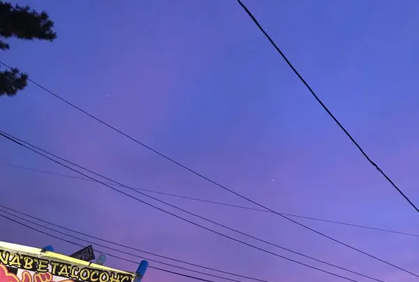 筥崎宮の写真・動画_image_267051