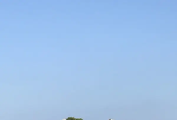 ハロン湾の写真・動画_image_267429