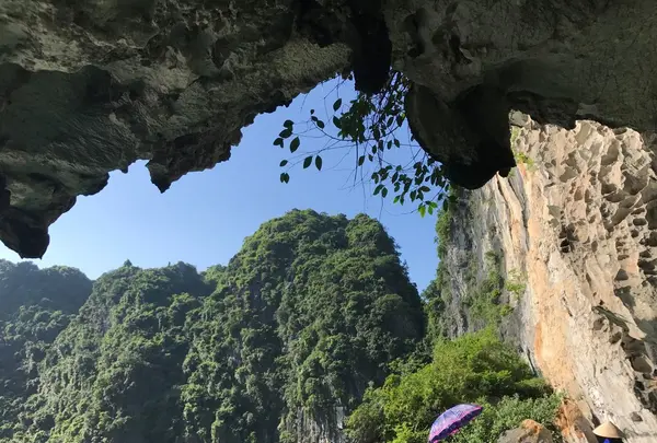 ハロン湾の写真・動画_image_267433