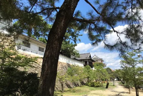 福山城の写真・動画_image_267606