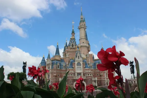 上海ディズニーランド（Shanghai Disneyland /  上海迪士尼乐园）の写真・動画_image_267846