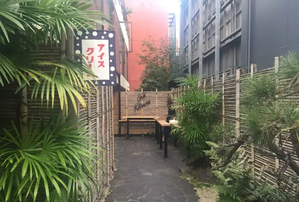  カフェ キツネ（CAFE KITSUNE）の写真・動画_image_267980