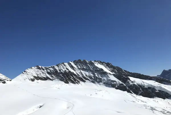 ユングフラウヨッホ駅（Jungfraujoch Train Station）の写真・動画_image_268281