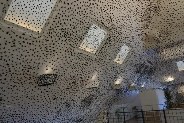 ラコリーナクラブハリエの写真・動画_image_268325