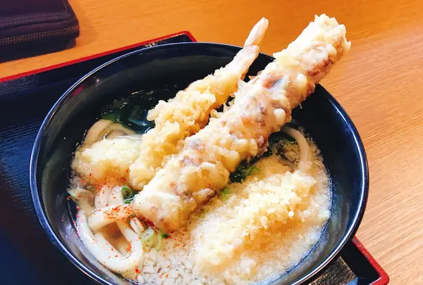 【閉業】讃岐うどん 源八の写真・動画_image_268560