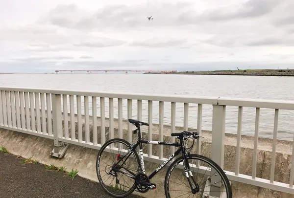 京浜島つばさ公園の写真・動画_image_268587