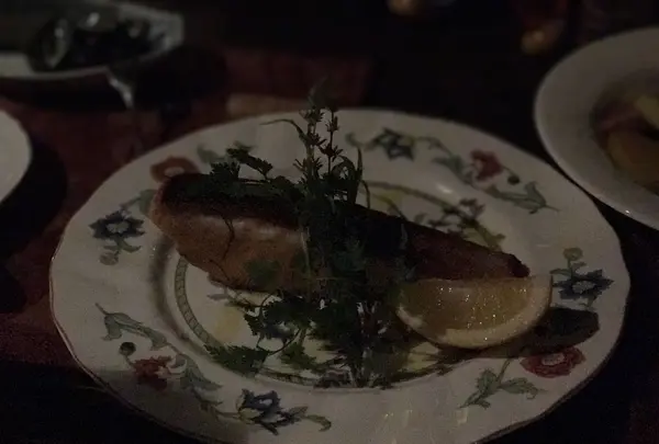 ツバキの写真・動画_image_268722