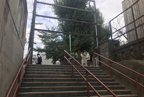 須賀神社の写真・動画_image_268732