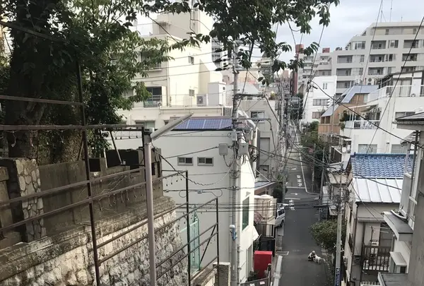 須賀神社の写真・動画_image_268735