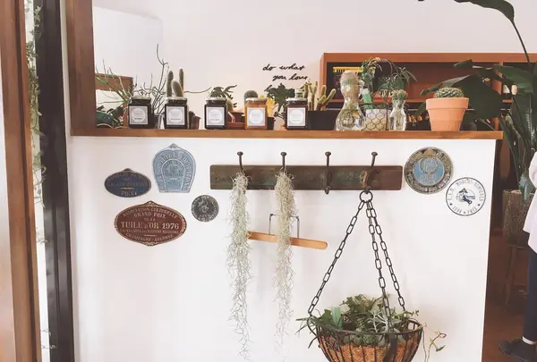 Seagull direction 大館店の写真・動画_image_268785