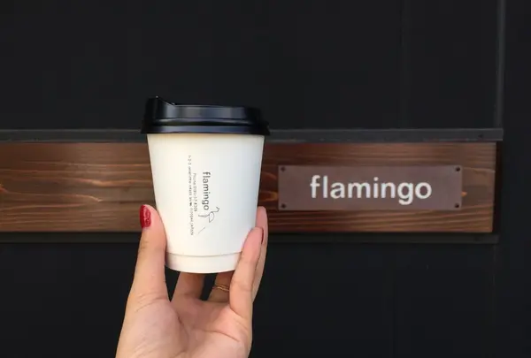 flamingoの写真・動画_image_268947