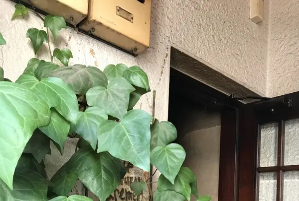 カフェ レ ジュ グルニエ （Cafe Les Jeux Grnie）の写真・動画_image_269001