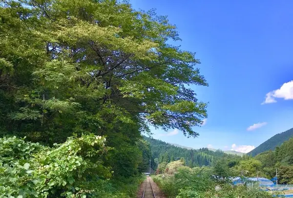 大館・小坂鉄道レールバイク（ＮＰＯ法人）の写真・動画_image_269137