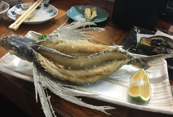 漁火の写真・動画_image_269473