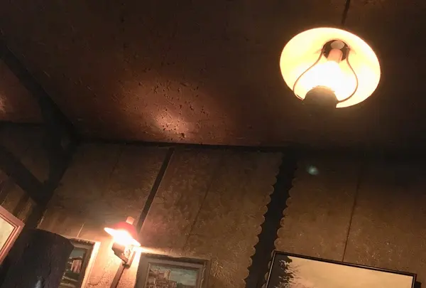 ネルケンの写真・動画_image_269523