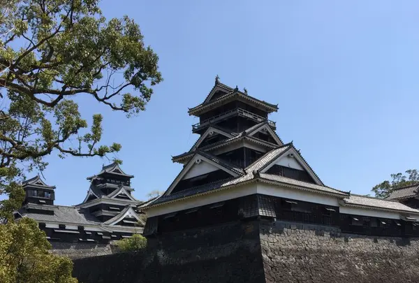 熊本城の写真・動画_image_269925
