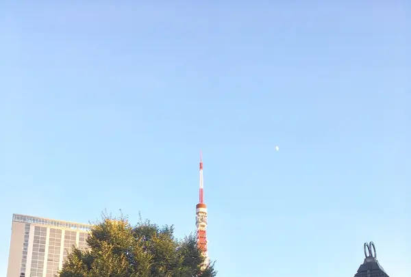 まちの本とサンドイッチの写真・動画_image_270088