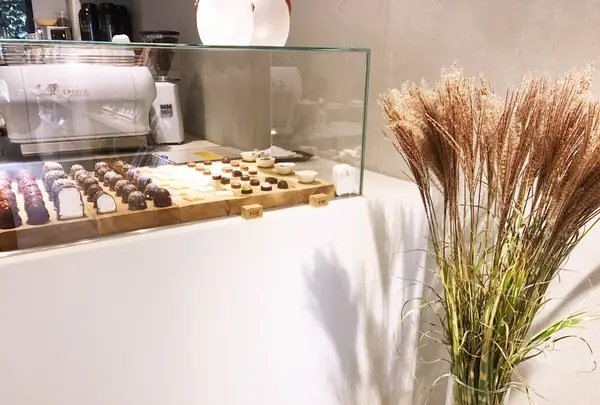 SUMMERBIRD ORGANICの写真・動画_image_270588