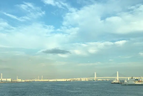 パシフィコ横浜 国立大ホールの写真・動画_image_270616