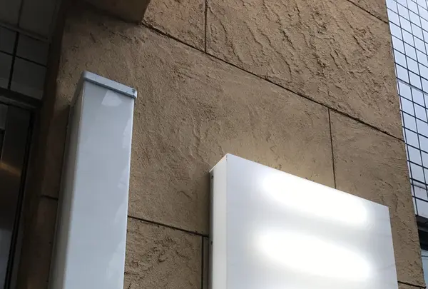 torse （トルス）の写真・動画_image_270680