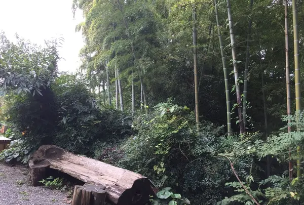 亭ノ元の写真・動画_image_271094