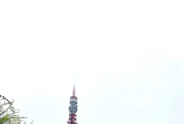 東京プリンスホテルの写真・動画_image_271818