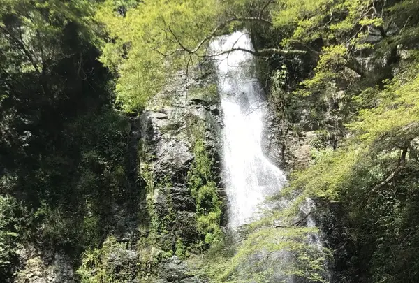 箕面の滝（箕面大滝）の写真・動画_image_272014