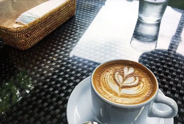 IVY PLACE(アイヴィープレイス)の写真・動画_image_272017