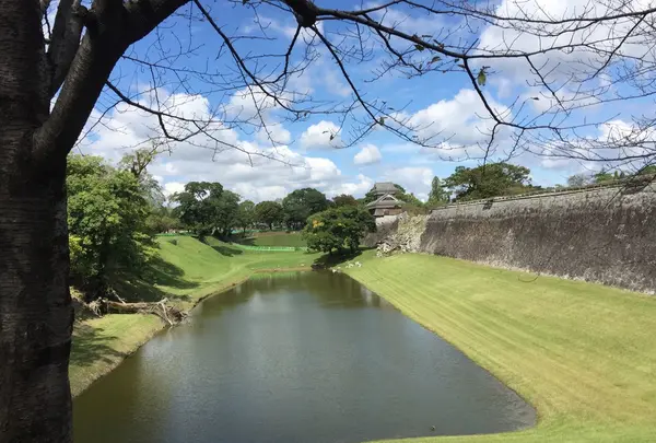 熊本城の写真・動画_image_272265