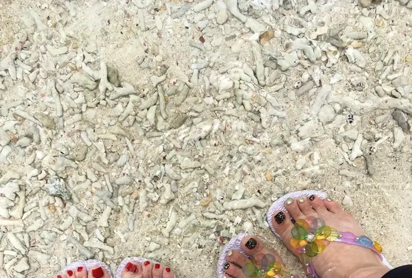 シギラビーチの写真・動画_image_272329