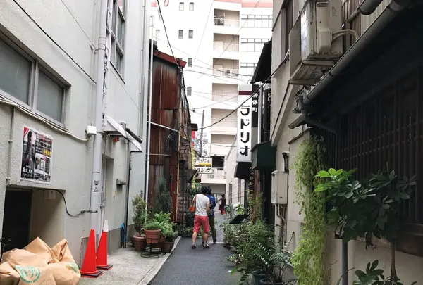 ラドリオの写真・動画_image_272461