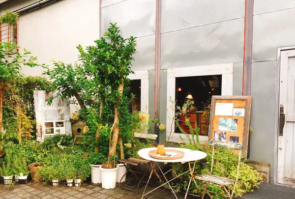 工房花屋５Ｓｏｋｏの写真・動画_image_272993