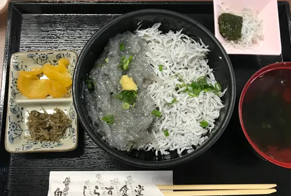 しらすパークの写真・動画_image_273127