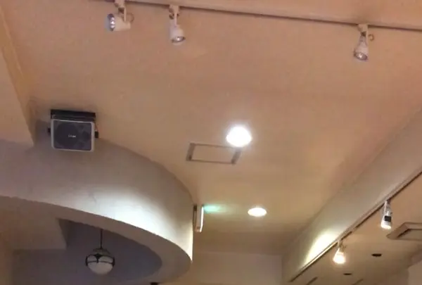 麻布食堂の写真・動画_image_273590