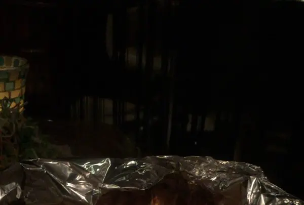 ラヴィの写真・動画_image_273734