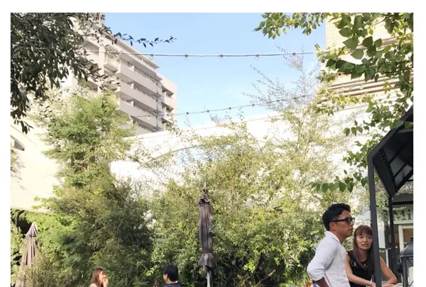 TENOHA & STYLE STORE (テノハ代官山)の写真・動画_image_273753