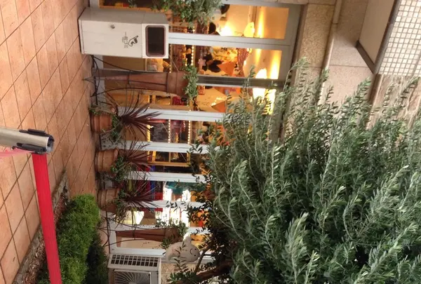 ドンレミーアウトレット北千住店の写真・動画_image_273997