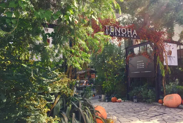 TENOHA & STYLE STORE (テノハ代官山)の写真・動画_image_274386