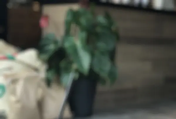 Faith Coffee Company（フェイス コーヒー カンパニー）の写真・動画_image_274566