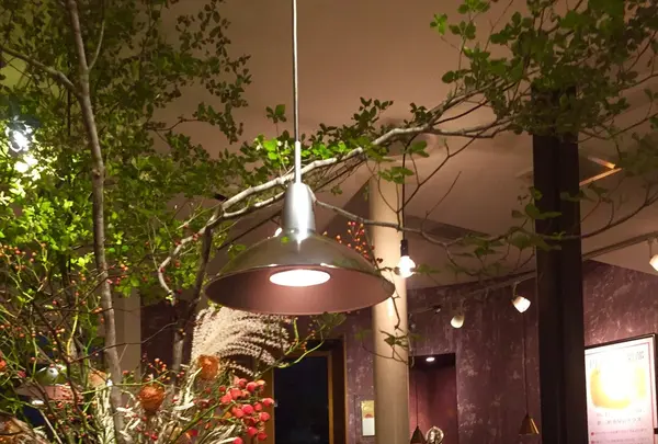 カフェマメヒコ 三軒茶屋本店（CAFE Mame-Hico）の写真・動画_image_274908