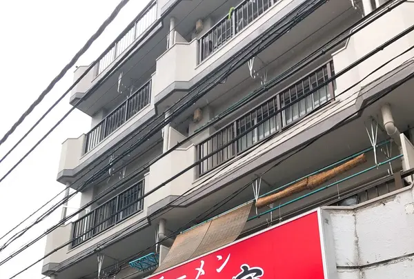 杉田家の写真・動画_image_275240